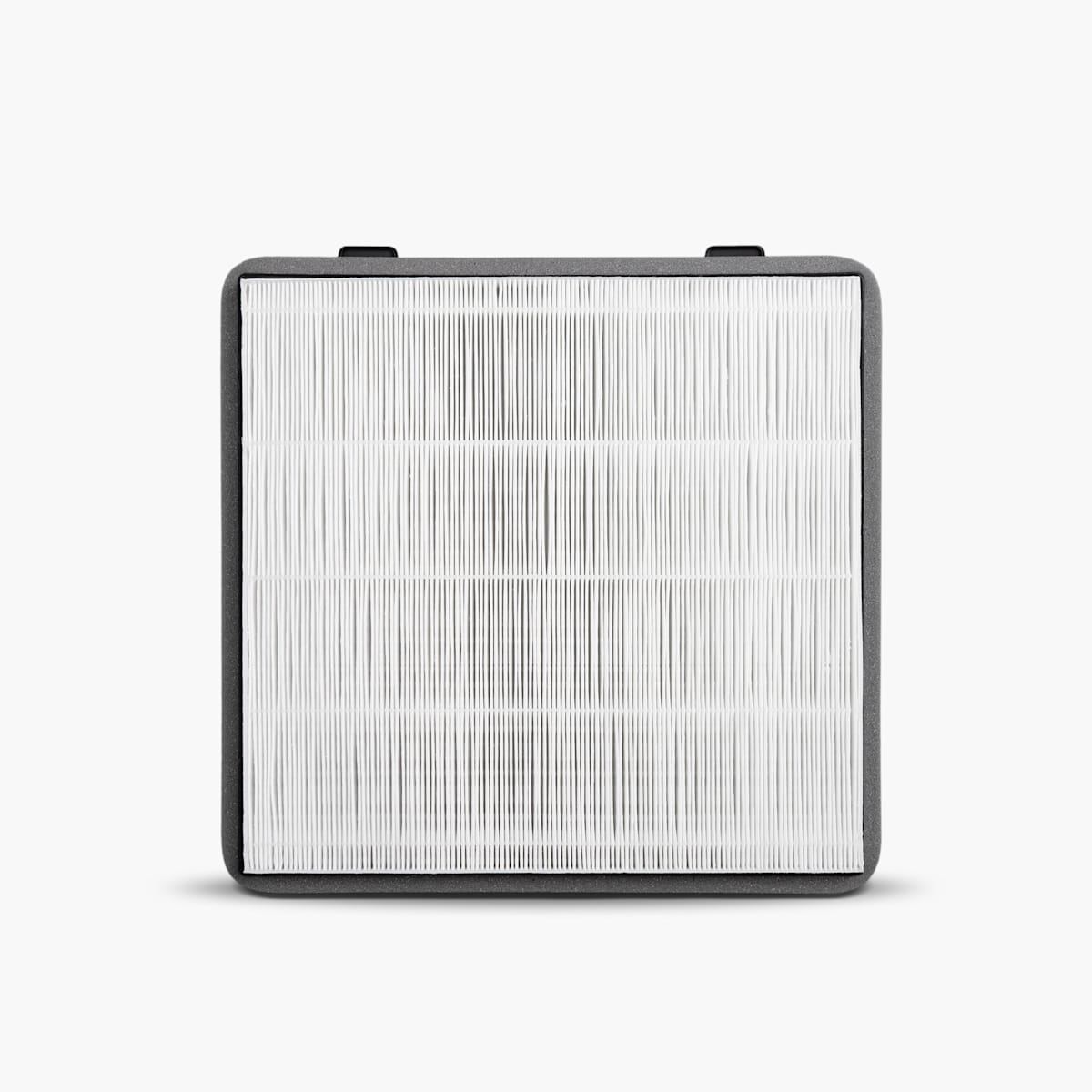 Cybertruck HEPA Filter