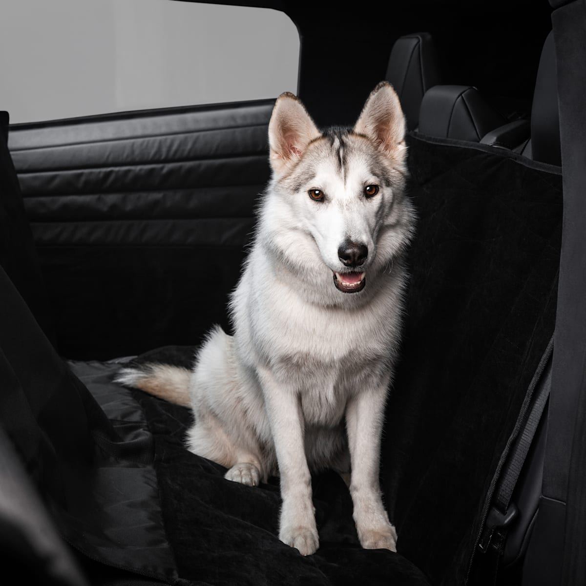 Cybertruck Pet Liner
