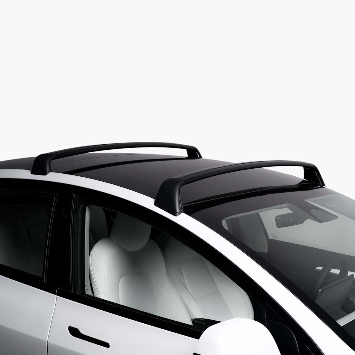 Model 3 Roof Rack