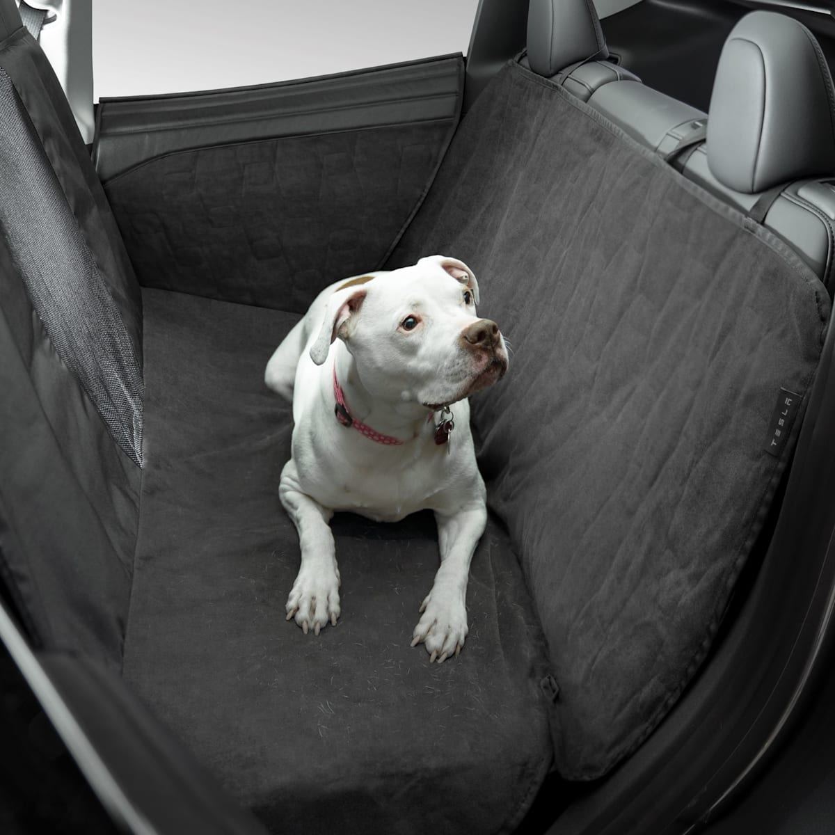 Model S/3/Y Pet Liner