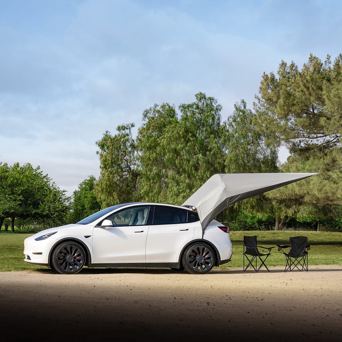 Model Y Canopy